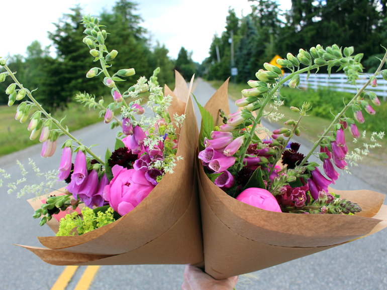 How To Extend The Vase Life of Your Flowers